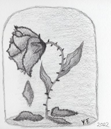 Die Schöne und das Biest Eine Zeichnung einer eingekapselten Rose mit Dornen und fallenden Blättern.