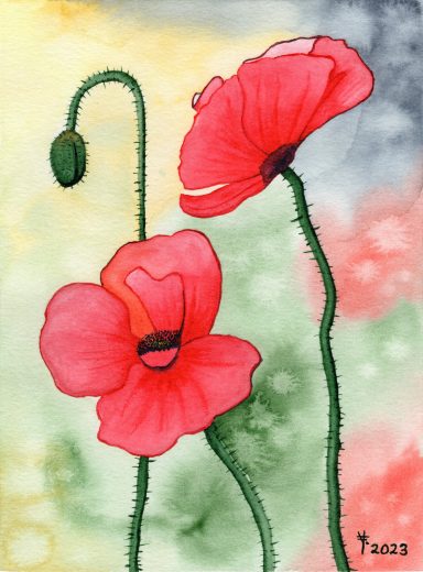 Farbenfrohe Mohnblumen Zwei rote Mohnblumen mit grünem Stängel vor einem unscharfen, bunten Hintergrund.