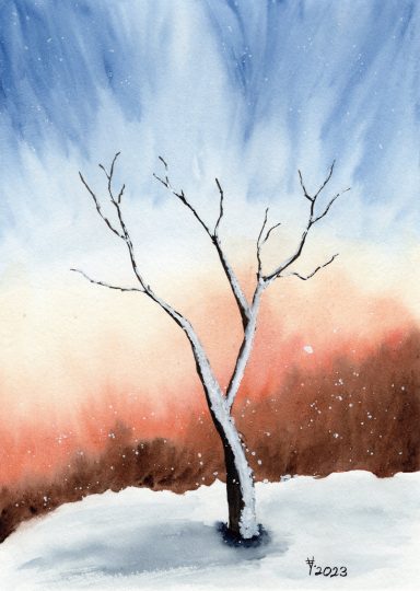 Wintermorgen Verzweigter Baum im Schnee vor einem farbenfrohen, winterlichen Himmel.