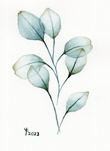 Eukalyptusblätter Zarte, aquarellierte Blätter an einem schlanken Stängel auf weißem Hintergrund.